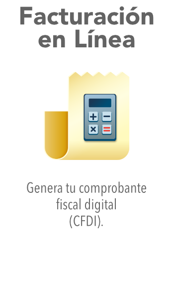 Generar factura