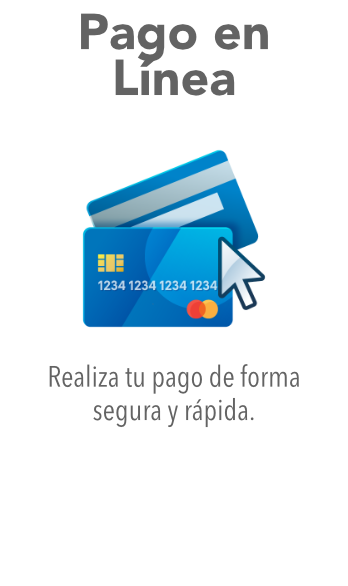 Pagar en línea